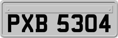 PXB5304