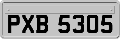 PXB5305