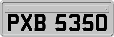 PXB5350