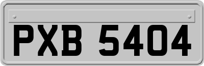 PXB5404