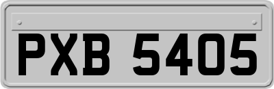 PXB5405