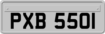 PXB5501