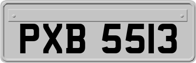 PXB5513