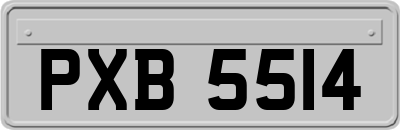 PXB5514