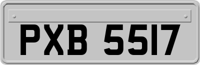 PXB5517