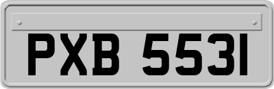 PXB5531