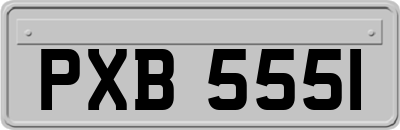 PXB5551