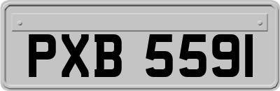 PXB5591