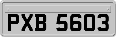 PXB5603