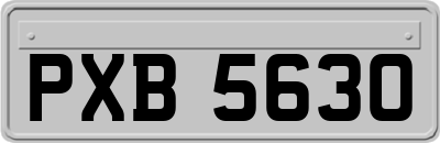 PXB5630