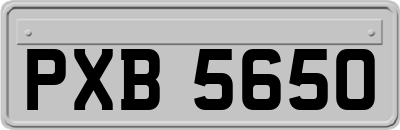 PXB5650