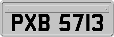 PXB5713