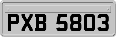 PXB5803