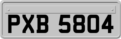 PXB5804