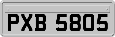 PXB5805