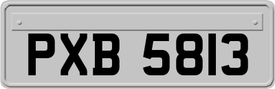 PXB5813