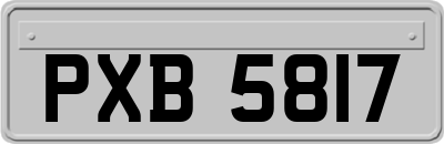 PXB5817