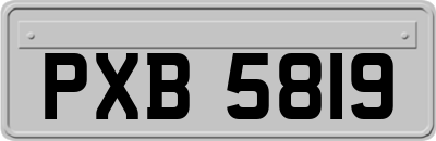 PXB5819