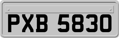 PXB5830