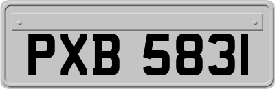 PXB5831