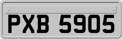 PXB5905