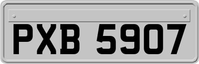 PXB5907