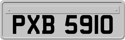 PXB5910