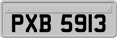 PXB5913