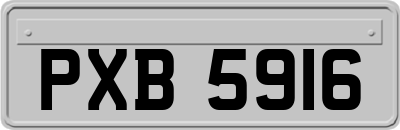 PXB5916