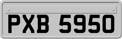 PXB5950