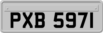 PXB5971