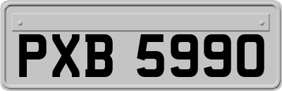 PXB5990