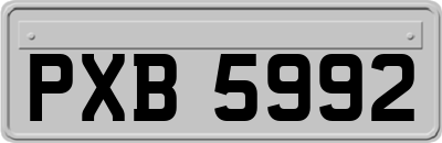 PXB5992