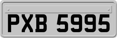 PXB5995