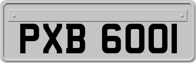 PXB6001