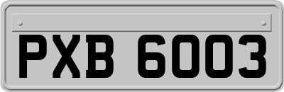 PXB6003