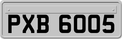 PXB6005