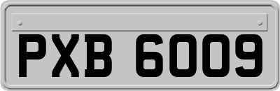 PXB6009