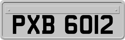 PXB6012