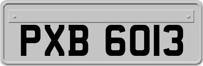 PXB6013