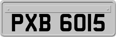 PXB6015