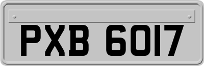 PXB6017