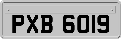 PXB6019