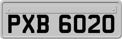 PXB6020