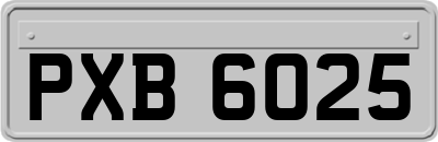 PXB6025