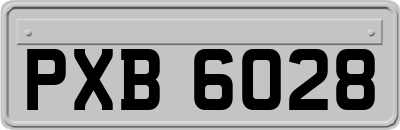 PXB6028