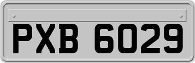 PXB6029