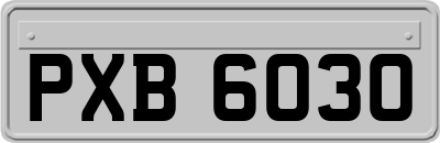 PXB6030