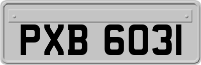 PXB6031