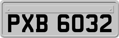 PXB6032